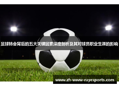 足球转会背后的五大关键因素深度剖析及其对球员职业生涯的影响