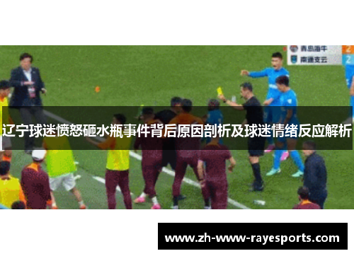 辽宁球迷愤怒砸水瓶事件背后原因剖析及球迷情绪反应解析 辽宁球迷愤怒砸水瓶事件背后原因剖析及球迷情绪反应解析