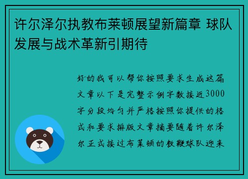 许尔泽尔执教布莱顿展望新篇章 球队发展与战术革新引期待